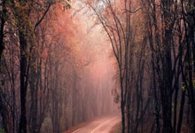 PG模拟器官网：特尔晒自己穿威廉球衣照片，被热刺球迷喷之后道歉+删除.