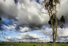 PG模拟器官网：斯基拉：埃默松可能会在今年夏天离开米兰.