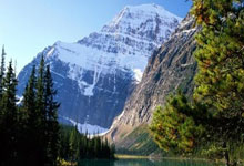 PG模拟器官网：阿根廷记者：梅西与迈阿密国际谈判进展顺利.